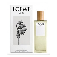 LOEWE Aire