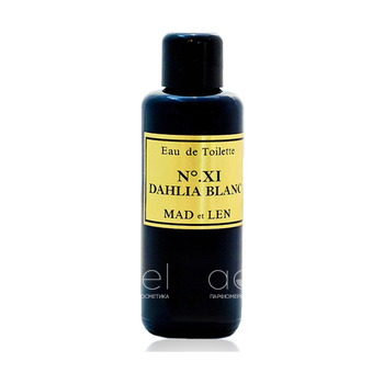 XI Dahlia Blanc