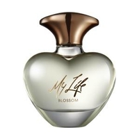 MARY J.BLIGE My Life Blossom