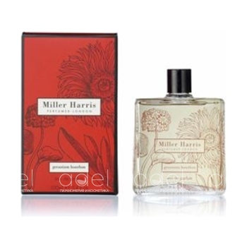 Geranium Bourbon