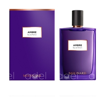 Ambre