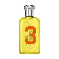 RALPH LAUREN Big Pony 3