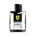 FERRARI Black Shine