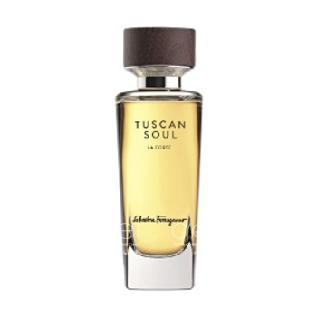 Tuscan Soul La Corte
