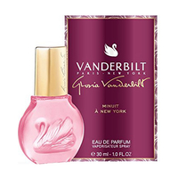 VANDERBILT Minuit a New York