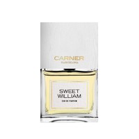 CARNER BARCELONA Sweet William