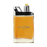 ACCENDIS Accendis 0.2