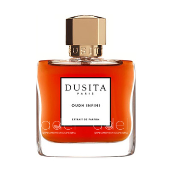 Oudh Infini