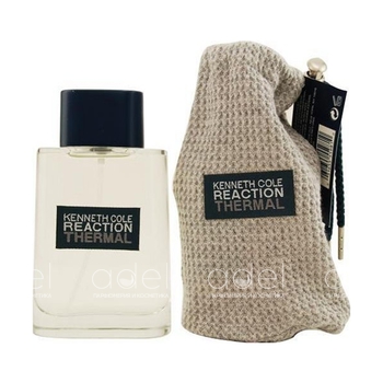 Reaction Termal