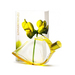 KENZO Summer by kenzo
