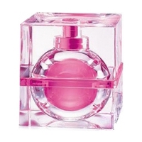 ROBERTO VERINO VV Rose