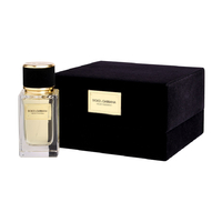 DOLCE & GABBANA Velvet Patchouli