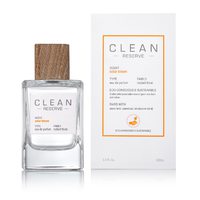 CLEAN Solar Bloom