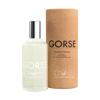Gorse