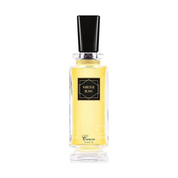 Narcisse Blanc 2018
