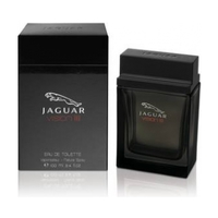 JAGUAR Vision 3