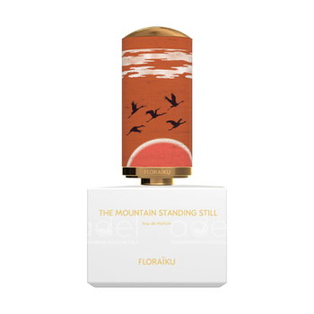 The Mountain Standing Still