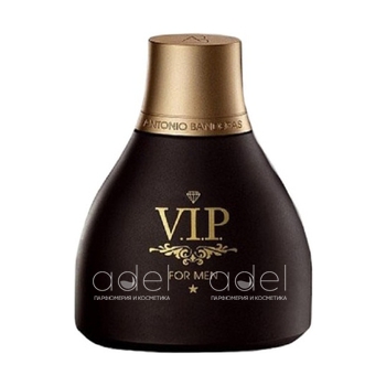 Spirit VIP