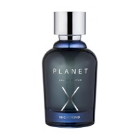 NICHEEND Planet X