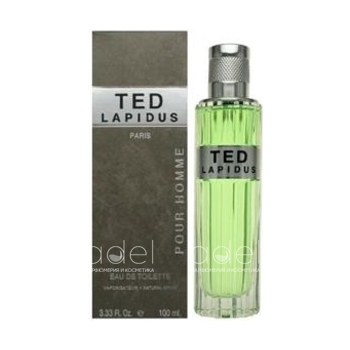 TED