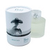 BERKELEY SQUARE (BSQ) White Bergamot