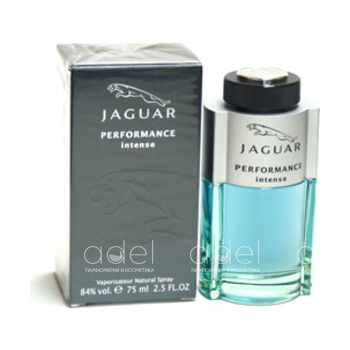 Performance Intense