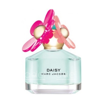 Daisy Delight