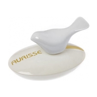 S4P Aurisse