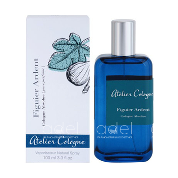 Figuier Ardent