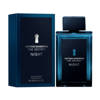 BANDERAS The Secret Night
