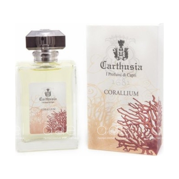 Corallium