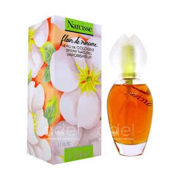 Fleur de Narcisse