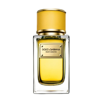 DOLCE & GABBANA Velvet Ginestra