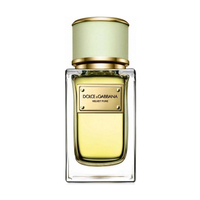 DOLCE & GABBANA Velvet Pure
