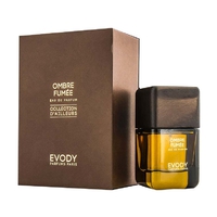 EVODY Ombre Fumee