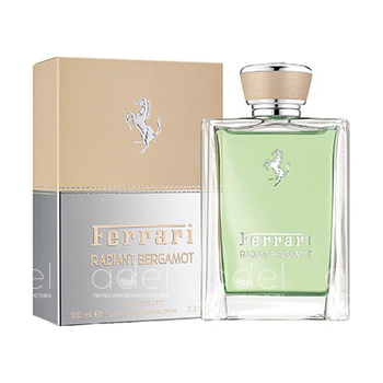 Radiant Bergamot