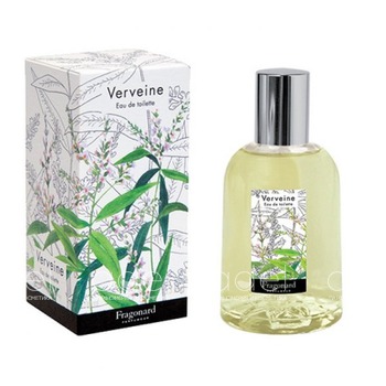 Verveine