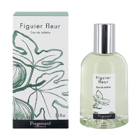 FRAGONARD Figuier Fleur