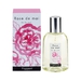 FRAGONARD Rose de Mai