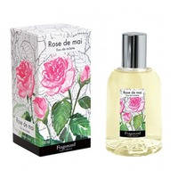 FRAGONARD Rose de Mai