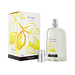 FRAGONARD Citron