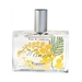 FRAGONARD Mimosa