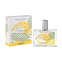 FRAGONARD Mimosa