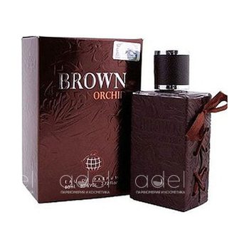 Brown Orchid