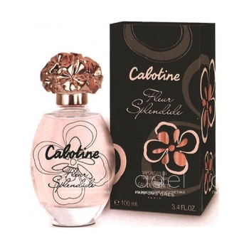 Cabotine Fleur Splendide