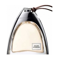 HERMES Galop d'Hermes