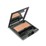 SHISEIDO   GD810 Bullion